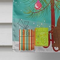 Vista 1253 de Caroline's Treasures BB4243GF Bandera de jardín con texto en inglés «Merry Christmas» con texto en inglés «Merry Christmas», bandera decorativa