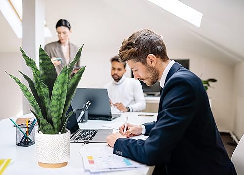 Miniatura 6 de Plantas artificiales de serpiente de 16 pulgadas con maceta de cerámica blanca Sansevieria, planta de serpiente falsa, planta sintética en maceta
