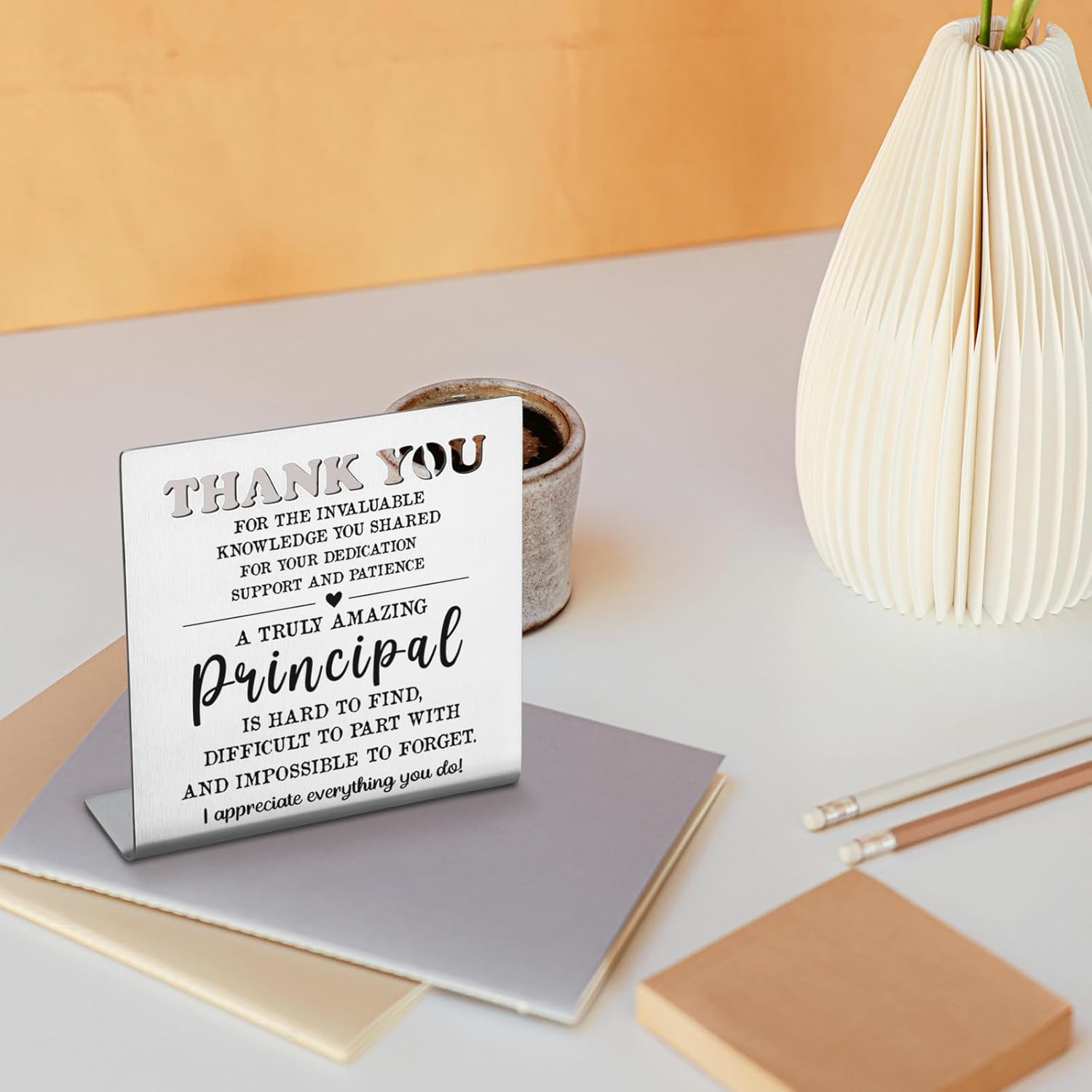 Thank You Principal Appreciation Gift for Men Women, School Principal Gift, Best Principal Gifts, Retirement Going Away Goodbye Farewell Leaving Gifts, Metal Decorative Signs Plaques SL46 - Image 3