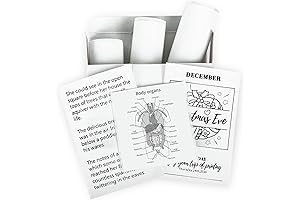 Premium T02/M02X/M02L Thermal Paper Rolls: Your Pocket-Sized Printing Partner