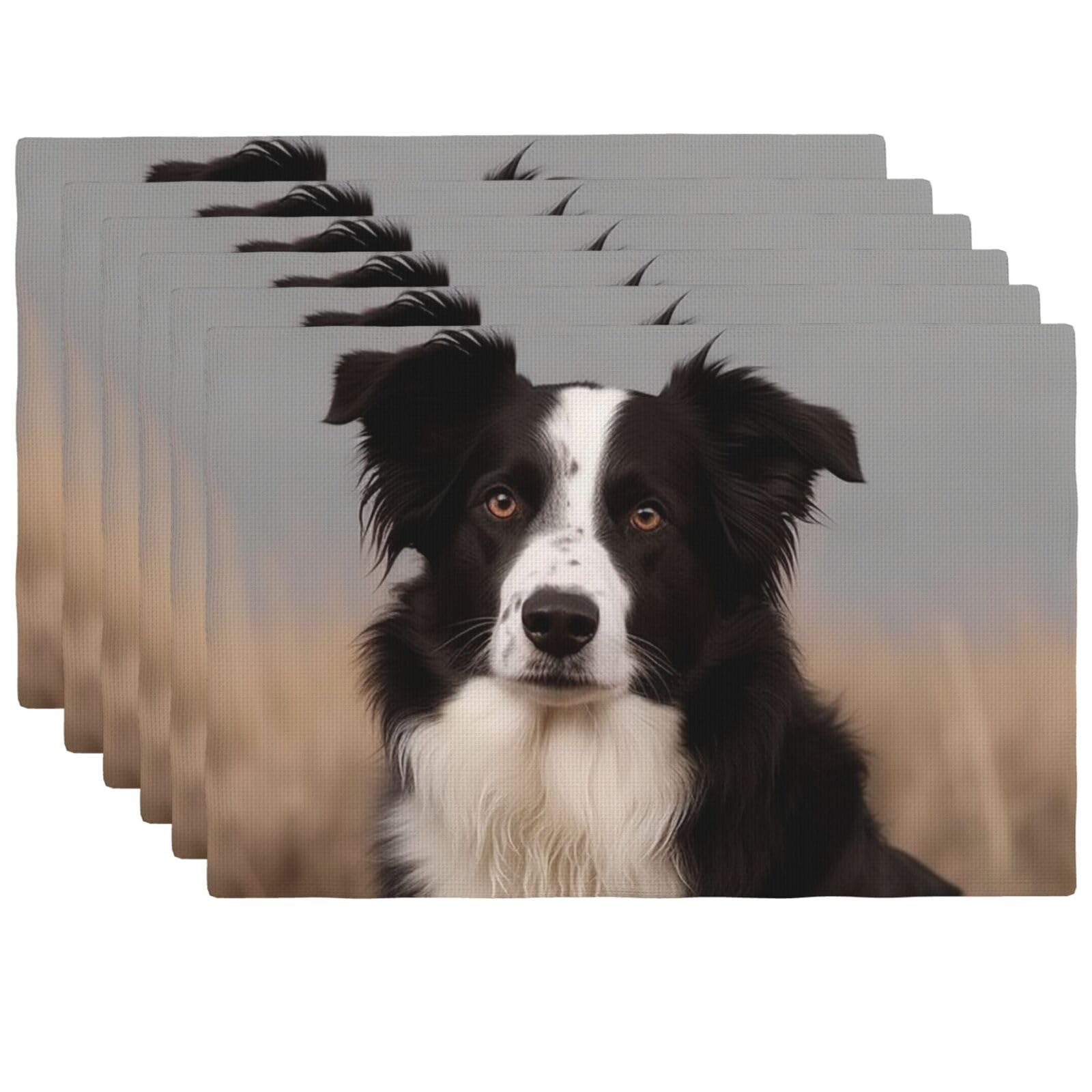 Set de table Border Collie lavable pour repas de famille et cuisine