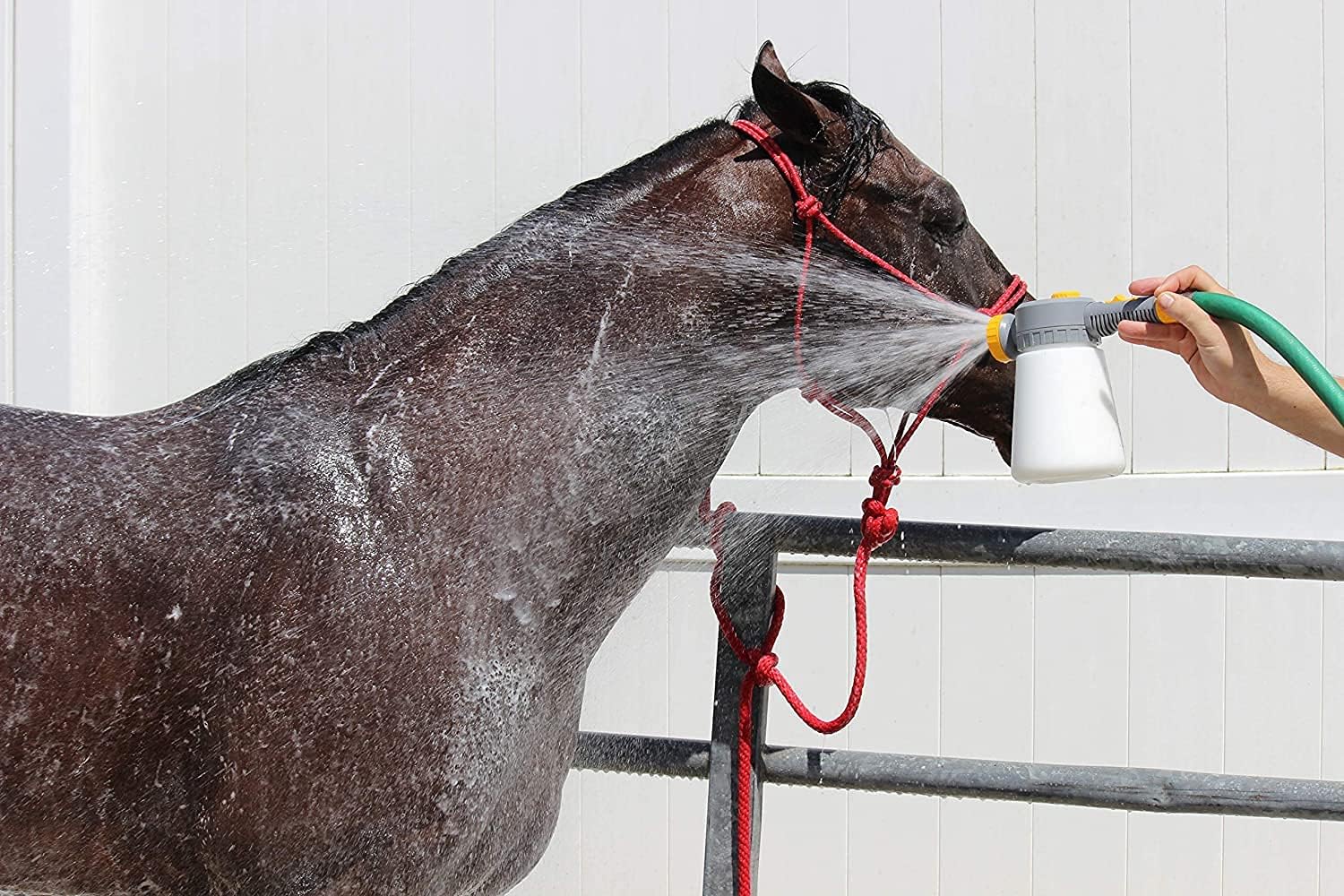 1 Gallon Concentrate Horse Shampoo pet Supplies Dog Shampoo Horse tack wash