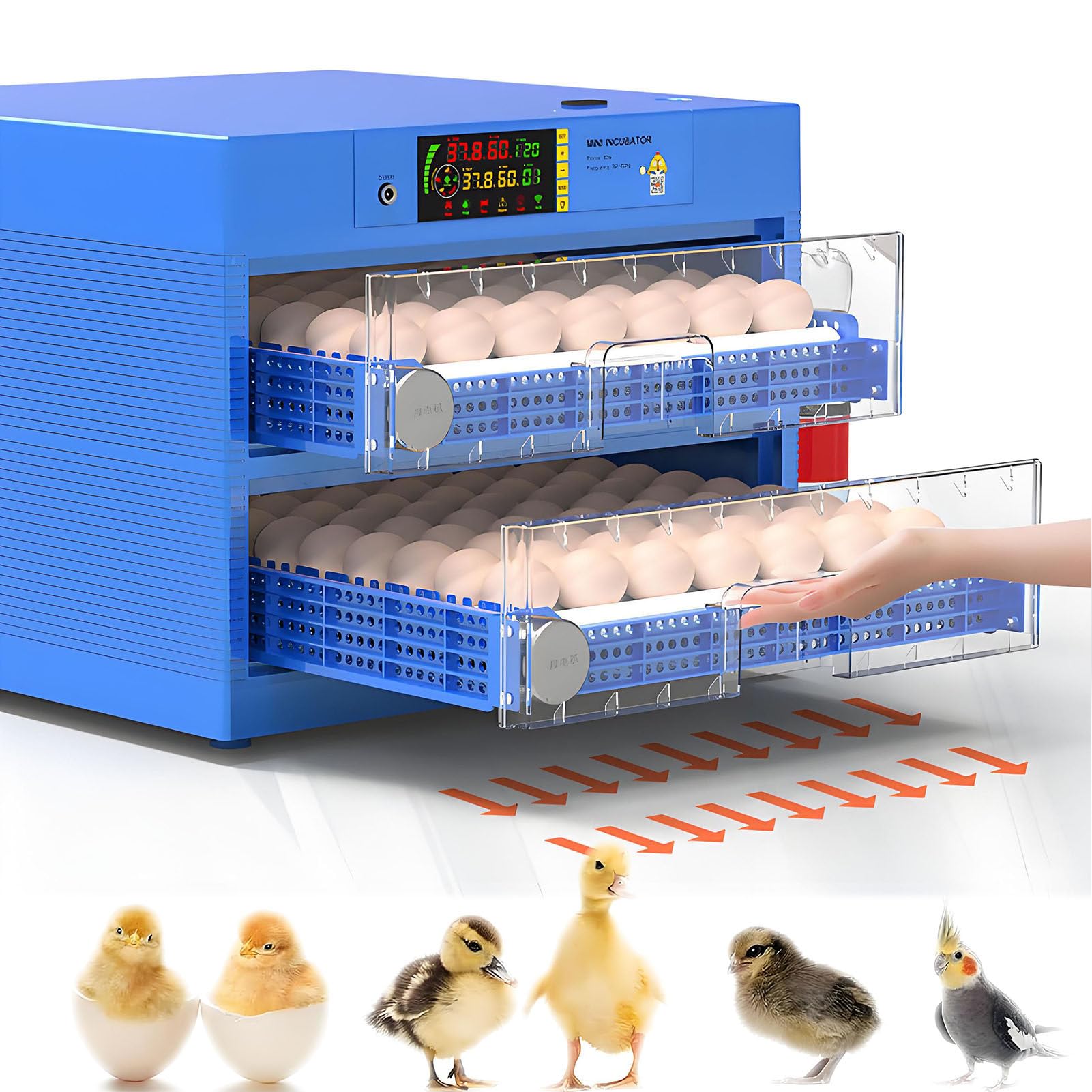 Quail Egg Incubator with Automatic Egg Turning and Humidity Control,Encubadoras Para Pollos de 64-256 Huevos Incubadora Para Pollos y Ganaos,3-in-1 Function:Incubation,Hatching,Brooding 2Layers