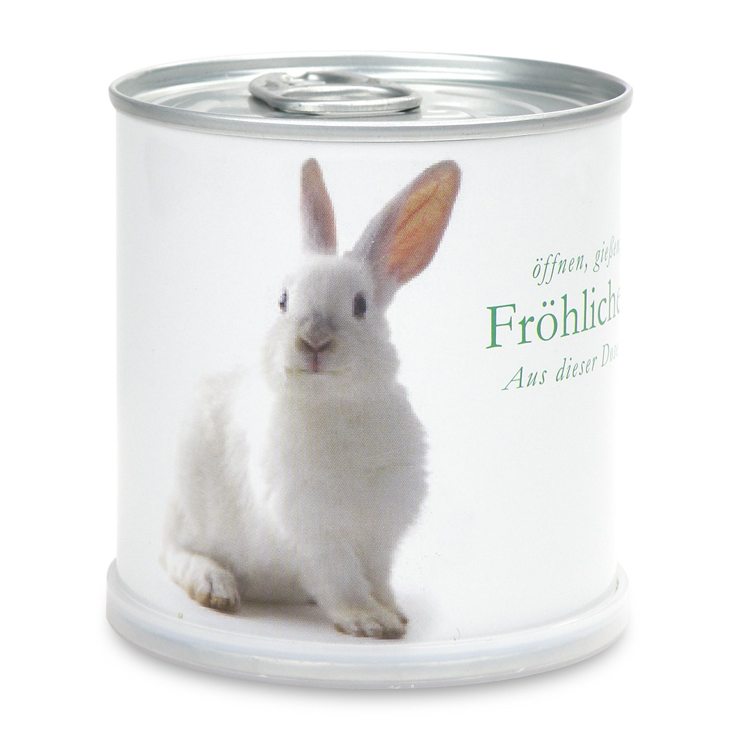 MacFlowers® Ostergrüße - Osterhase mit Vergissmeinnicht in Dose, 1 Stück, 8 cm x 7.5 cm, Pflanze, Blau, Osterthema, Geschenk zu Ostern