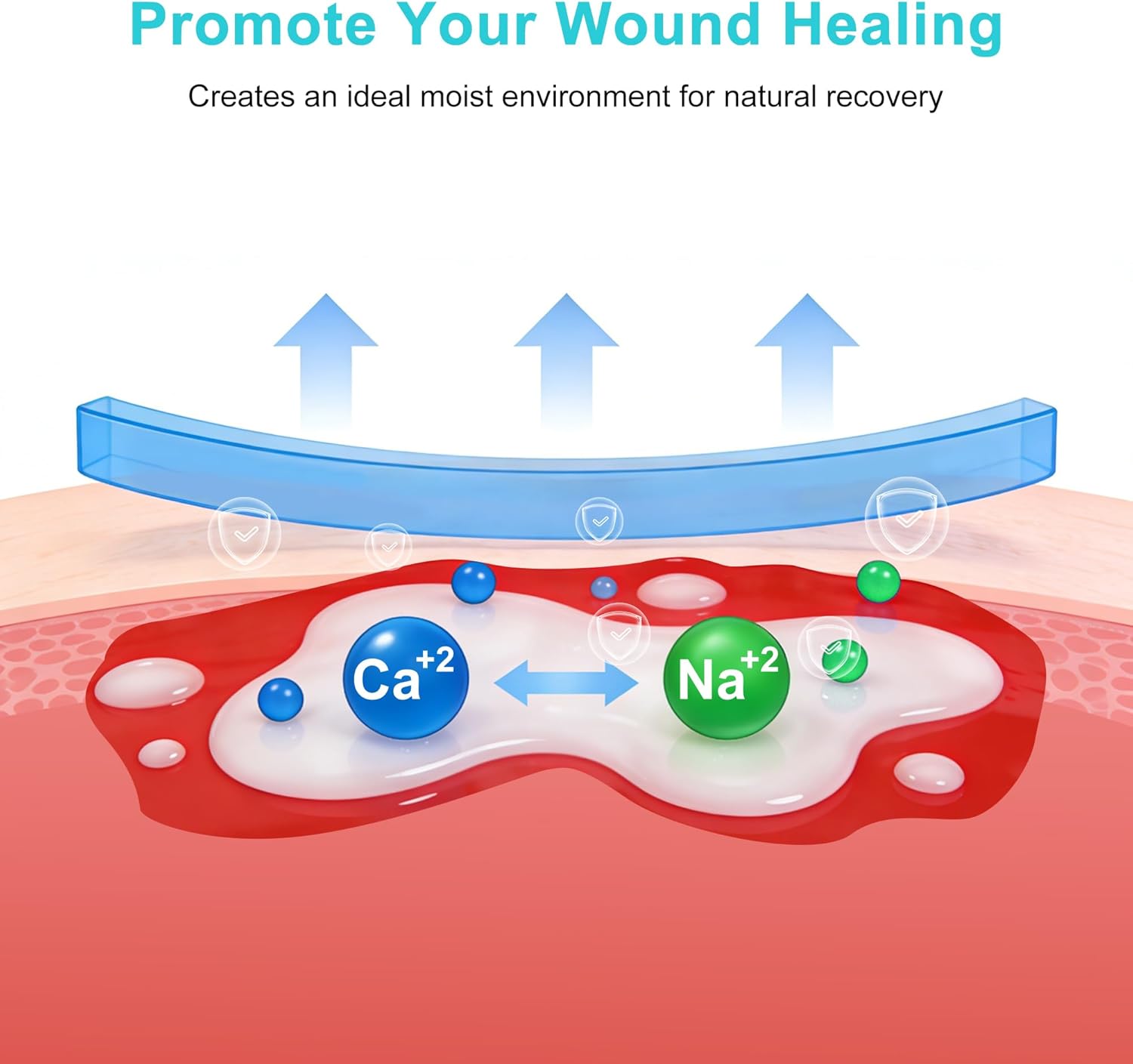 Calcium Alginate Wound Dressing, 4x4 Inch Gauze Pads (5 Count) | Highly Absorbent Gel-Forming Dressing for Exuding Wounds | Non-Adherent