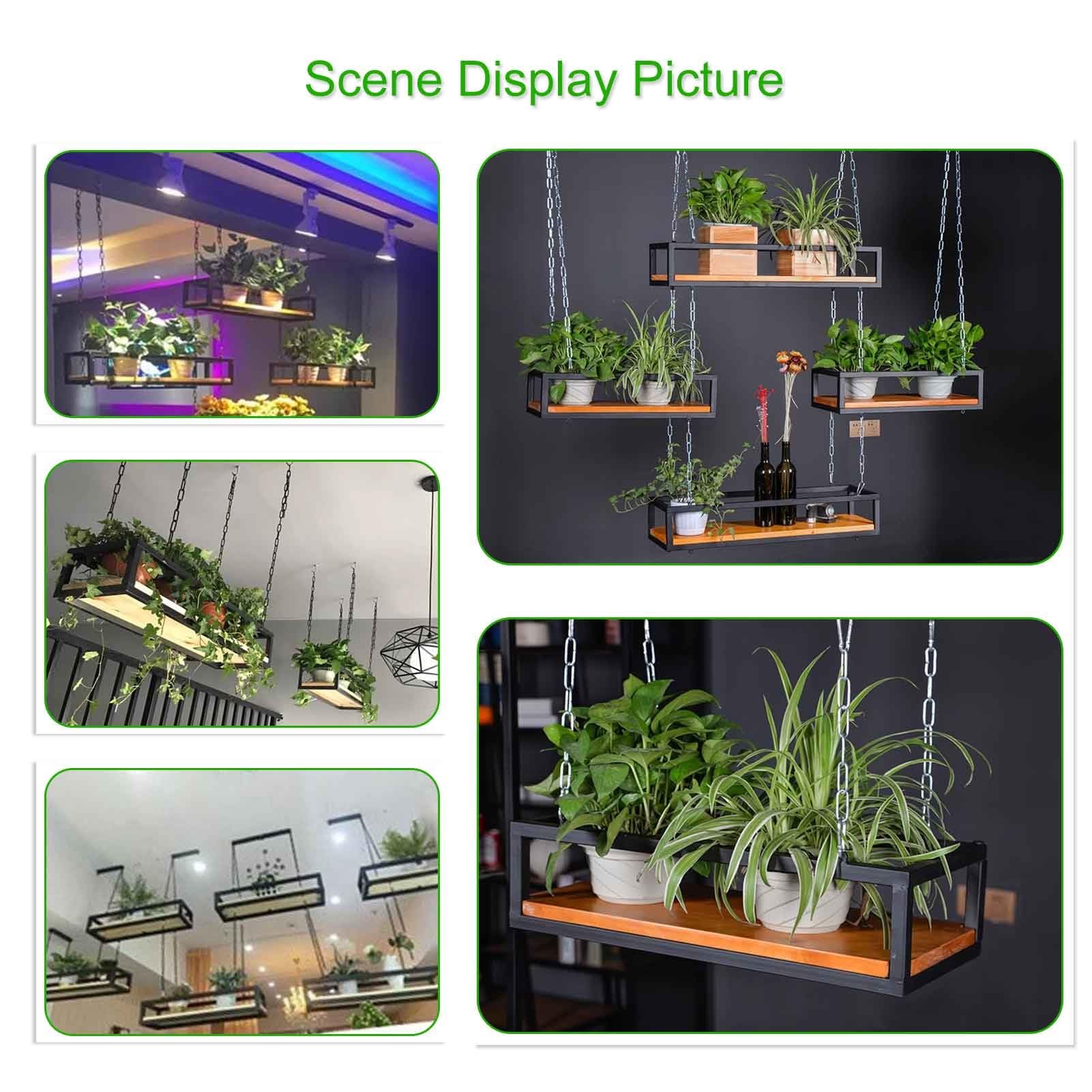 Amazon｜クリエイティブな植物棚 フラワーポットスタンド - 天井吊り