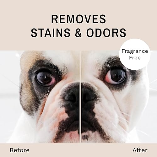 Miniatura 3 de Eye Envy Toallitas antiarrugas Bulldog | Toallitas antiarrugas para bulldog francés, pug, bulldog inglés | Limpia arrugas, bolsillos de cola de