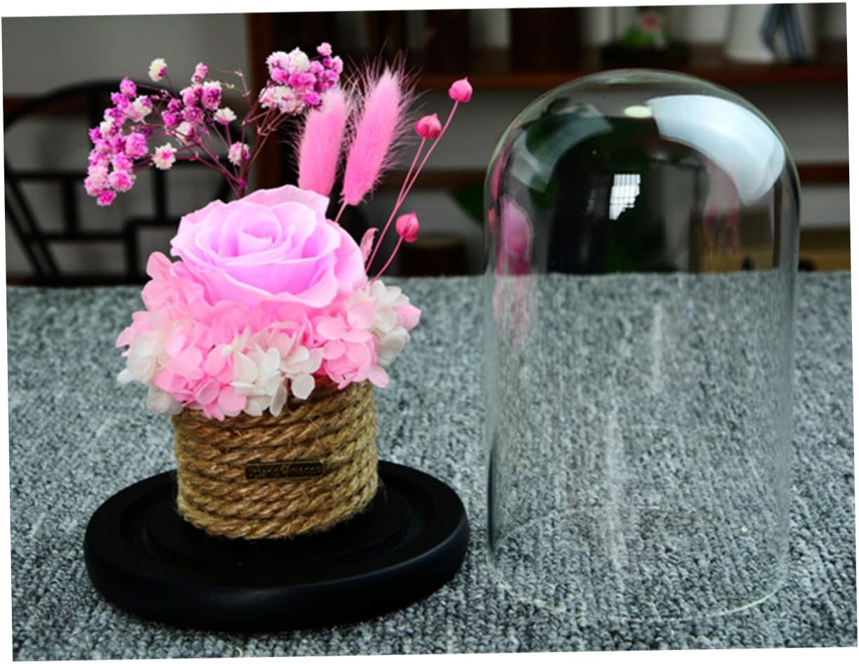 STOBAZA Romantic Preserved Rose Dome Creative Pink Glass Cover for Valentine Day Mother Day Weddings and Anniversaries Eternal Flower for Her