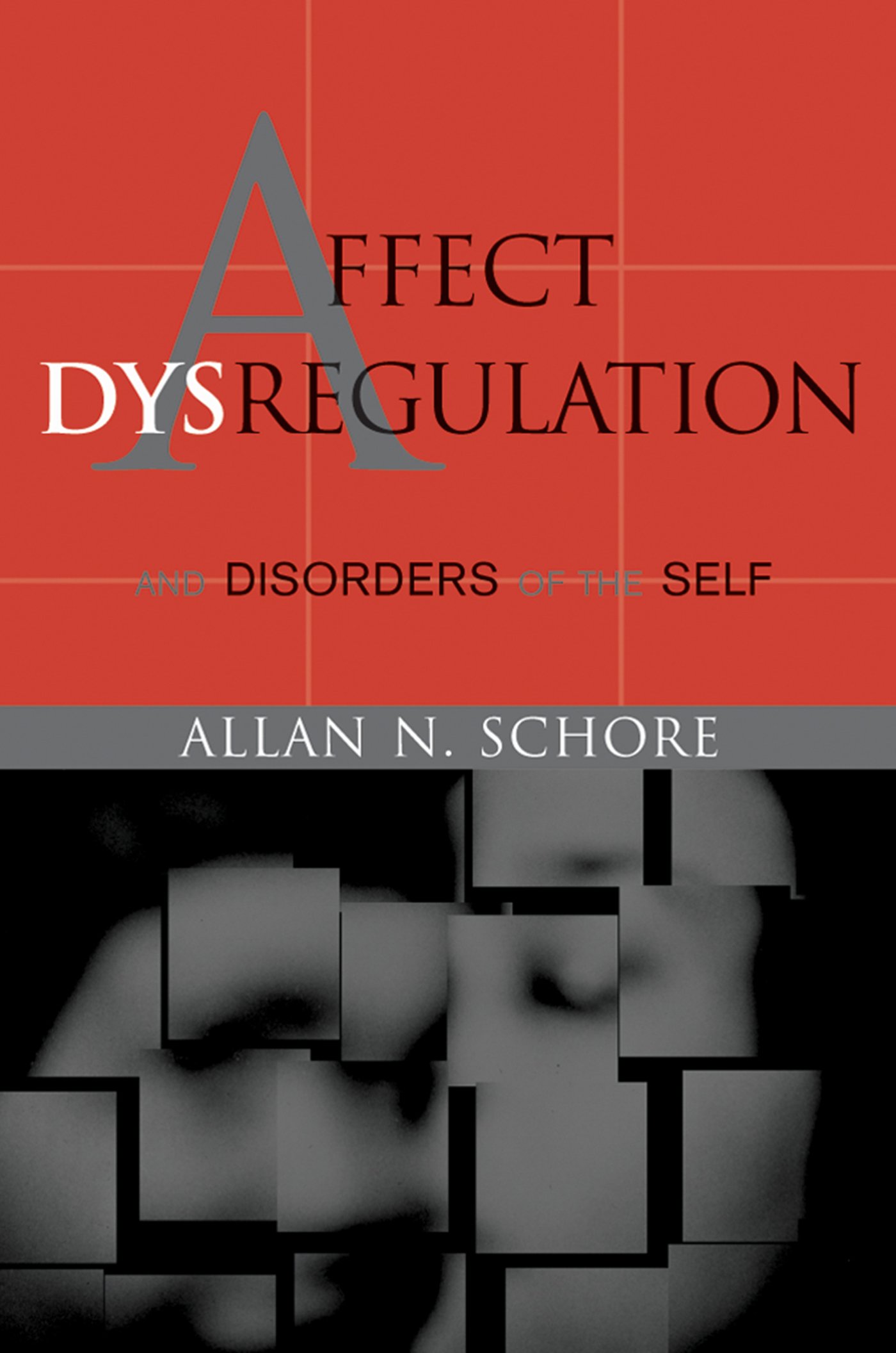 Affect Dysregulation and Disorders of the Self (Norton Series on Interpersonal Neurobiology Book 0)