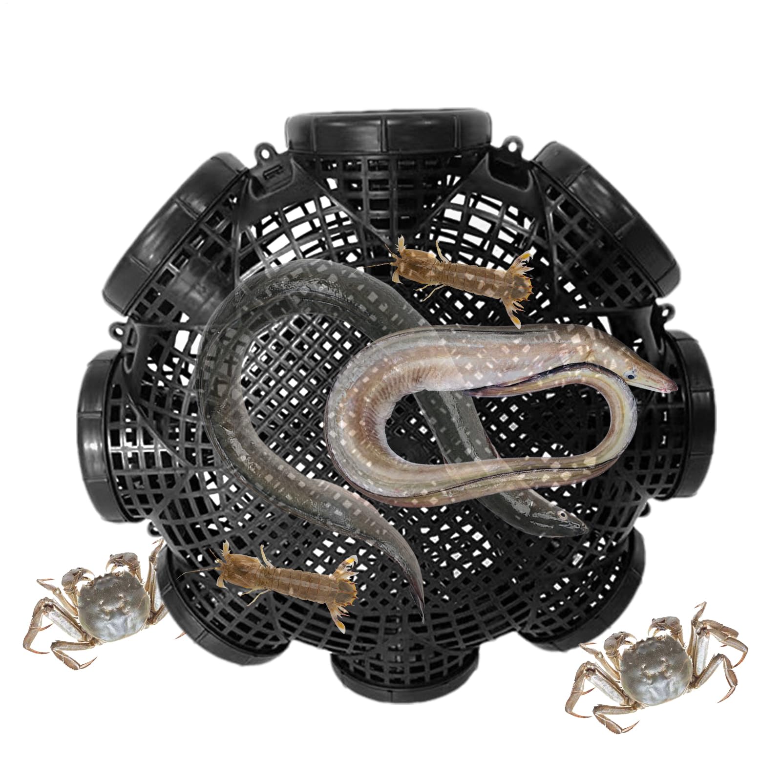 Crab Trap, Fish Catch Cage, Bait Fishing Net, Portable Foldable Design, Multi-Hole Entry, Outdoor River Lake Use, Automatic Fishing Net, PP Material, 11 to 14.76 inches