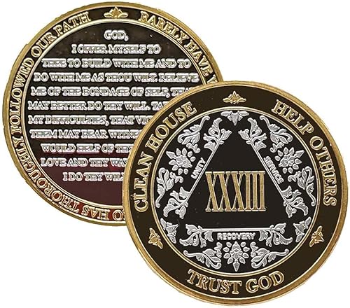 Miniatura 26 de Medallón anónimo de Alcohólicos Anónimos de Plata y Oro 1-60 años (20 años (XX)) Cápsula de Moneda AA Incluida