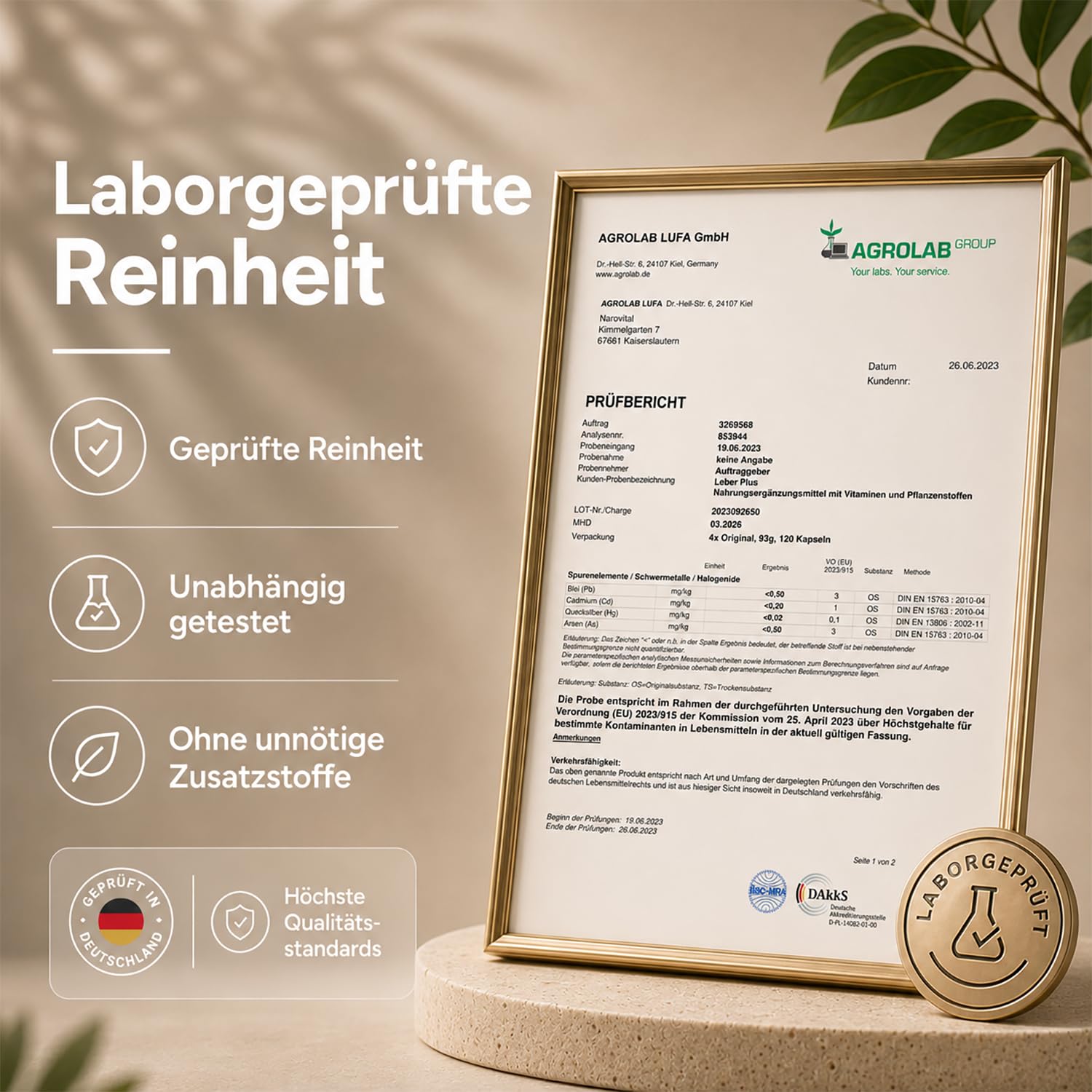 Leber Kur Mariendistel Kapseln hochdosiert - 80% Silymarin, Artischocke, Löwenzahn, Curcuma, Desmodium und Cholin für die Leber Testsieger - 8-Fach Komplex