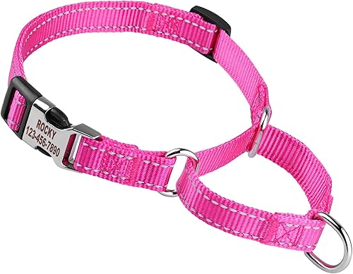 Miniatura 10 de Collar de perro Martingala personalizado con hebilla de bloqueo, collares de perro Martingala de entrenamiento personalizados grabados con nombre y