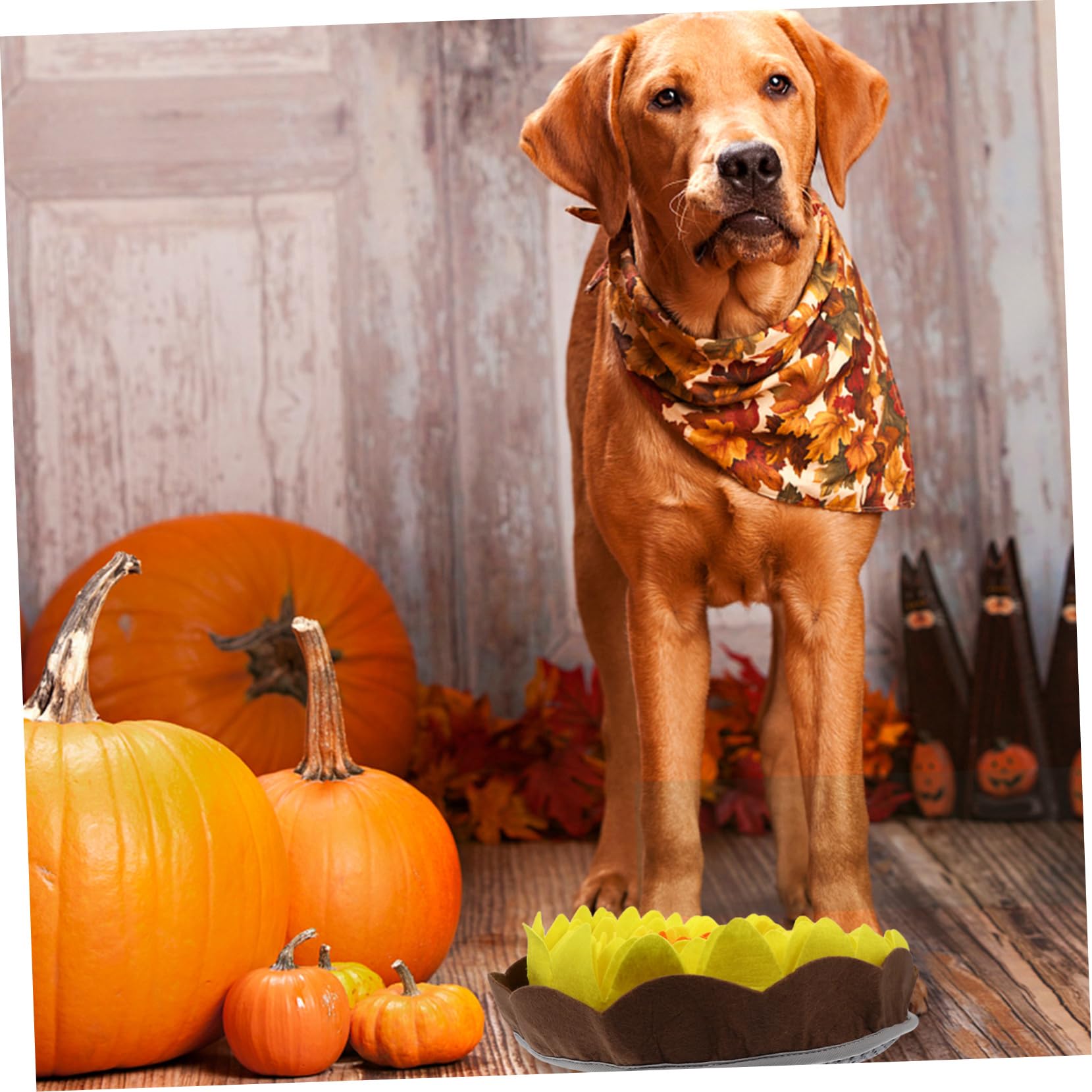 Beavorty 2stücke Pet Dog Sniffle Mat Für Effektives Futtertraining Atmungsaktive rutschfeste Pet Floor Mat Für Langsames Fressen Und Interaktives Spielzeug Leuchtenden Farben
