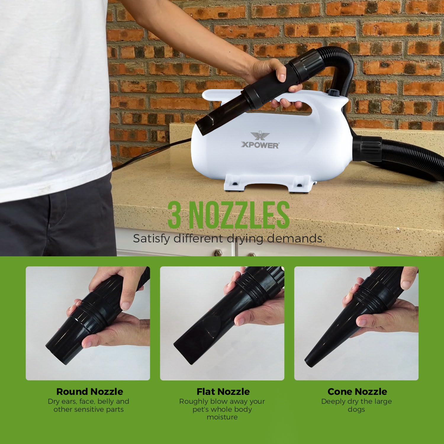XPower Dryer per animali domestici regolabile a velocità e temperatura di controllo del cane, dryer per capelli con 3 nodi (B-163)