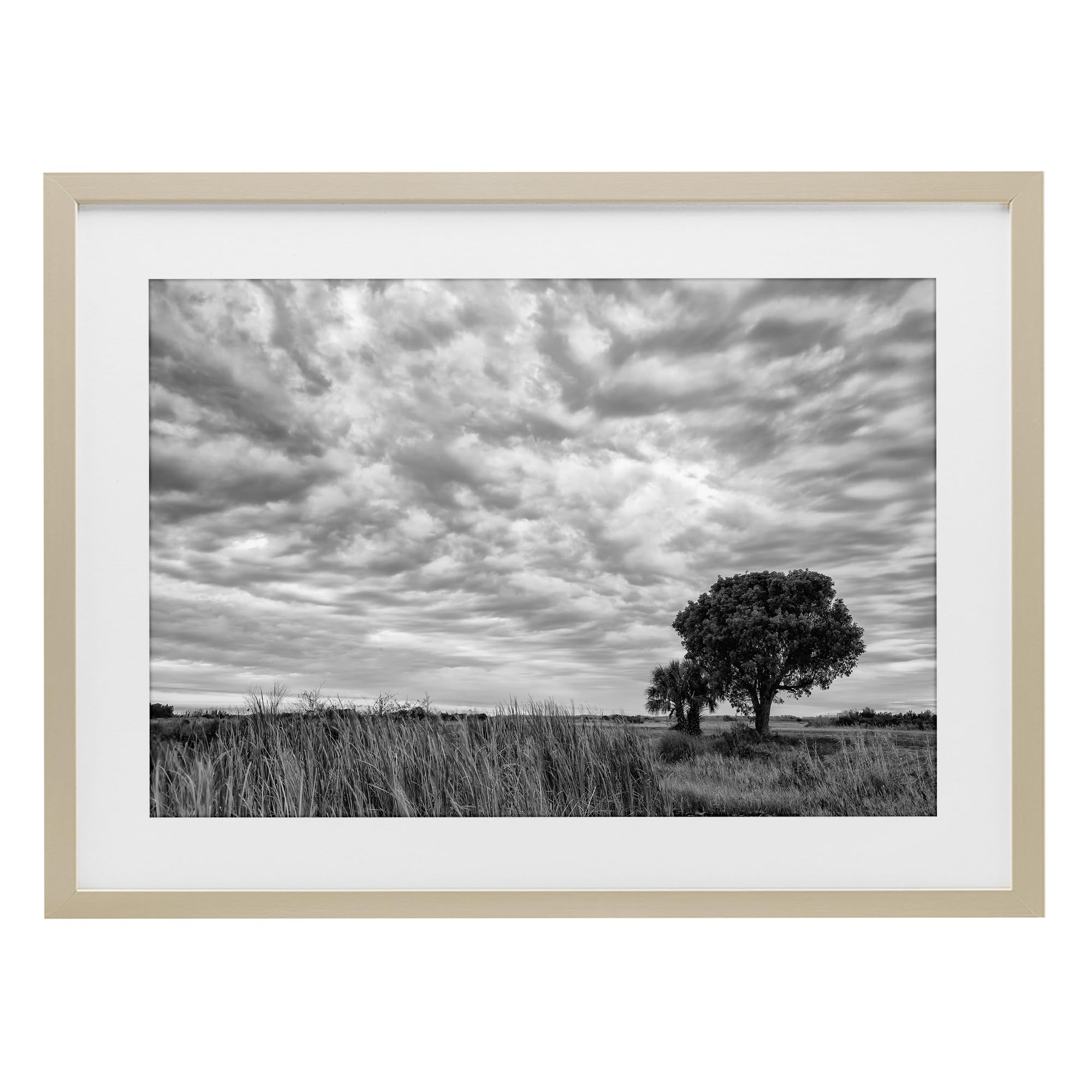 Stupell Industries Solitary Tree Beneath Clouds, Greyscale Landscape Serenity for Living Room, 14 x 20 Inch Framed Matted Print Under Glass, by Jon Evan, Made in USA Gift