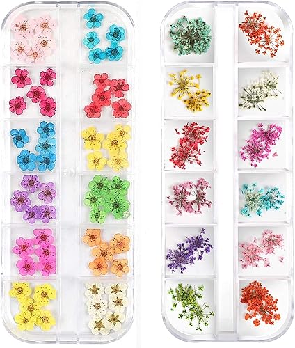 LPOne - 2 cajas 3D para uñas, mini calcomanías de flores secas, arte de uñas, resina, manualidades, flores secas naturales, cinco pétalos, hojas,