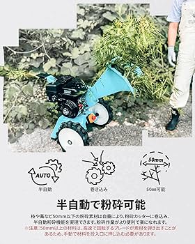 71sfiLkyTdL._AC_UF350,