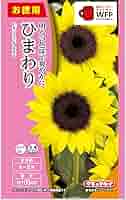ひまわりページ Amazon｜山久 造花 3輪付ひまわりスプレー 全長90cm 2204-3670