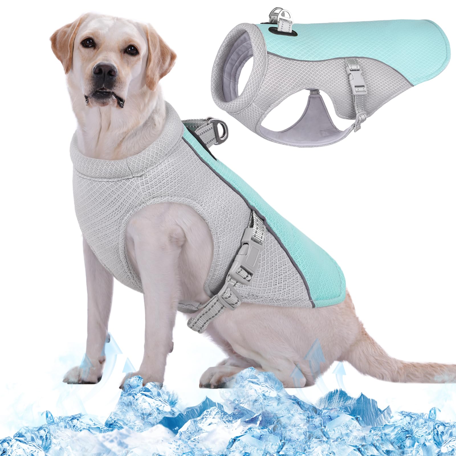 Amazon rozkitch dog cooling vest with leash set dog harness