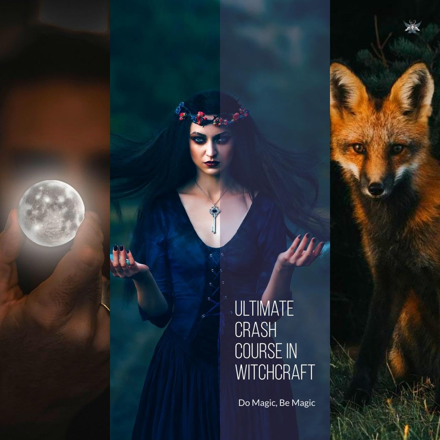 Ultimate Crash Course in Witchcraft