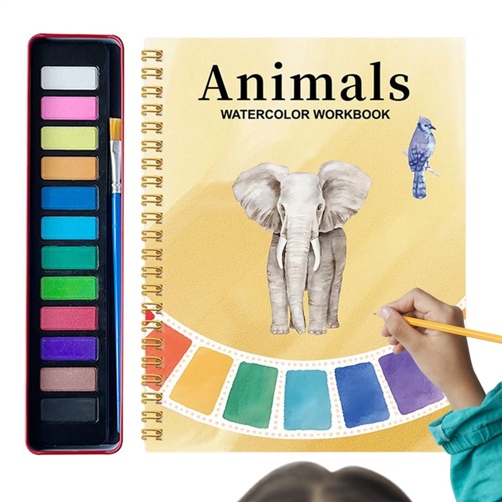Aquarel werkboeken, waterkleuren verf volwassen set, kunst set, verf boek, beginner-vriendelijke vogels aquarel werkboeken, 12 kleuren aquarel verf sets met verf borstel, kunst ambachten schilderij