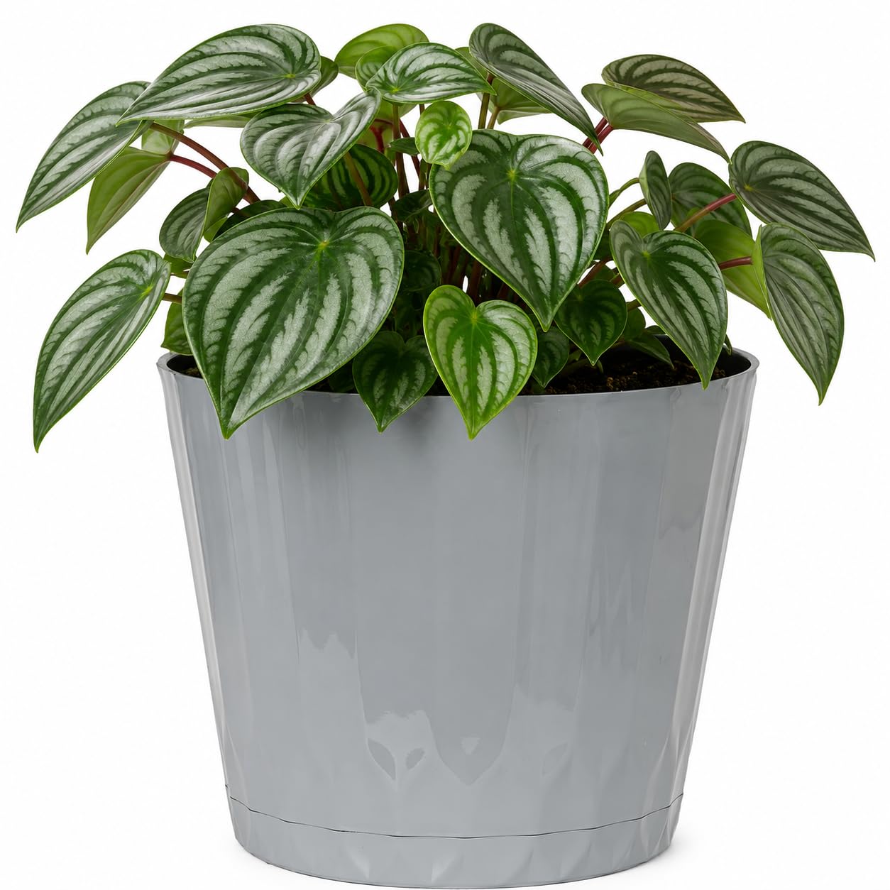 Muddy Hands Decorative Grey Plant Pot with Clip-On Saucer – Indoor & Outdoor Round Plastic Planter for Flowers, Herbs & House Plants, Stylish Durable Flower Pot with Drainage Holes (1, 1 Litre)