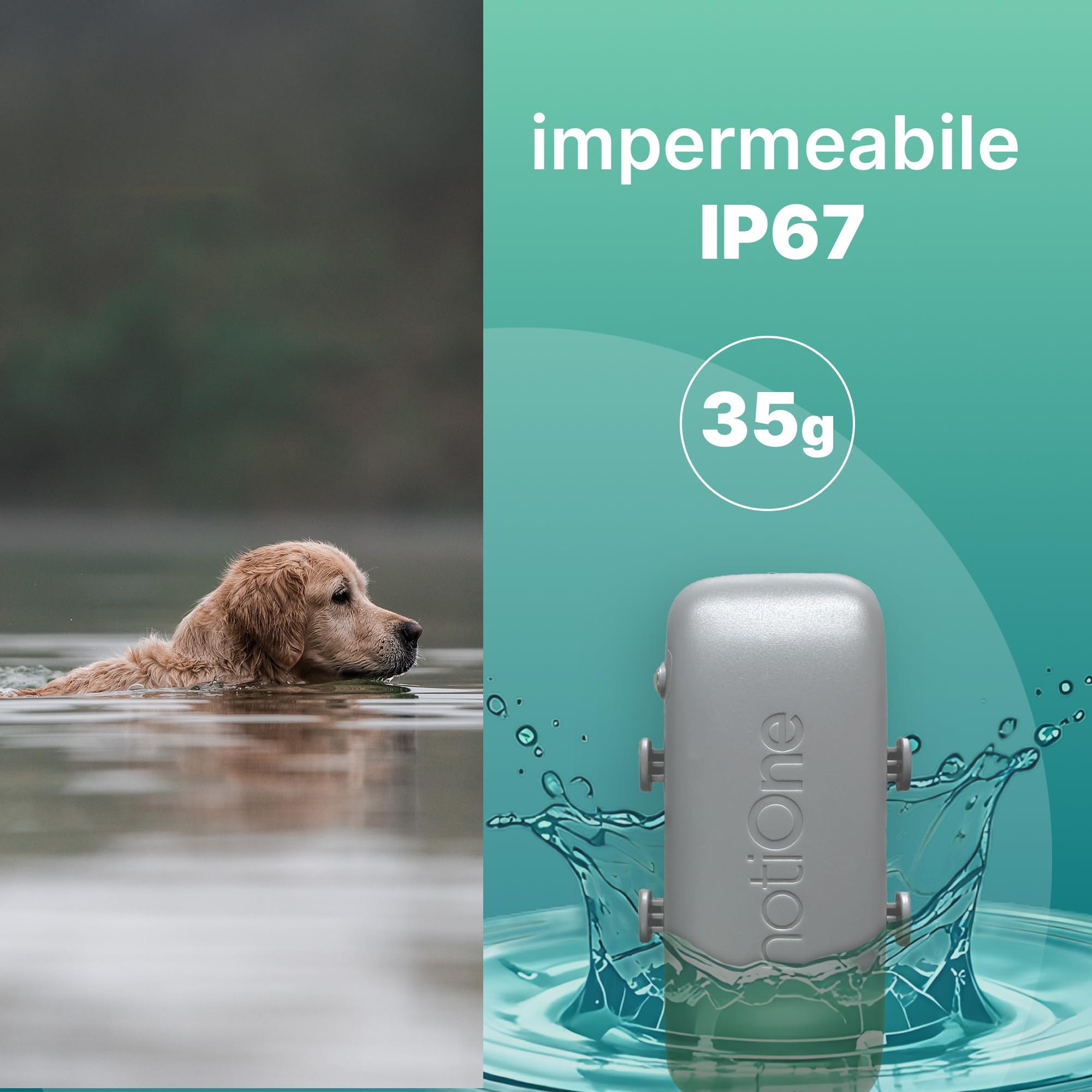Localizzatore GPS per cani BASIC senza abbonamento | Mini localizzatore impermeabile per cani e gatti | Collare GPS cane - Funziona in un paese europeo a scelta