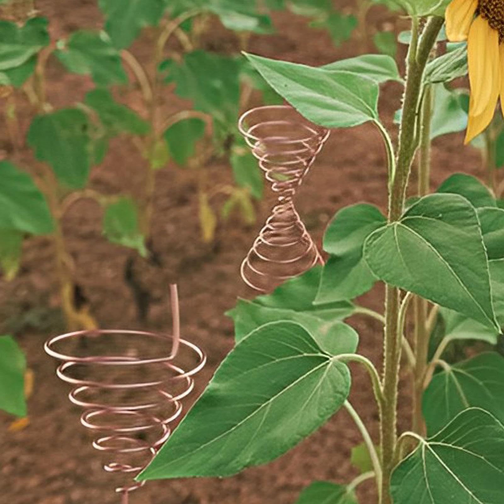 Spule Oszillator for Lakhovsky Spule 2, Kupferdraht Wickel Werkzeug Herstellung Garten Elektrokultur Fibonacci Spulenwickelvorrichtung Multifunktionale Plastik Kupferdraht Antennenklemme