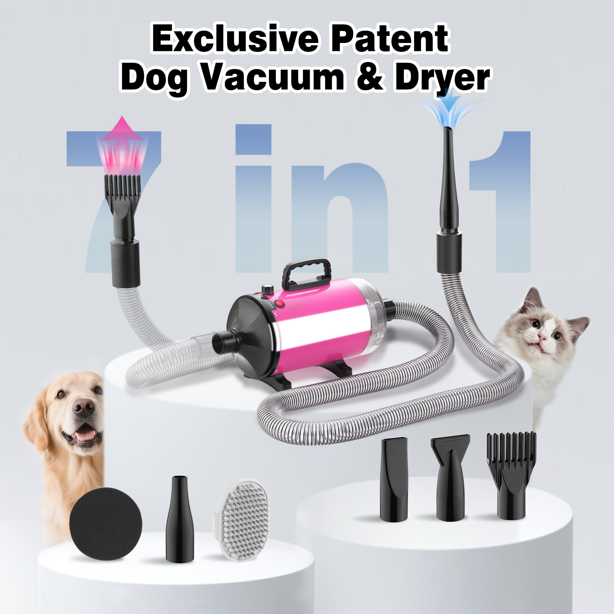 DEWINNER Asciugacapelli per cane Blower 3800 W, Pulsore per cani con aspirapolvere, velocità e temperatura regolabili, 5 ugelli, tubo elastico e spazzola di manutenzione