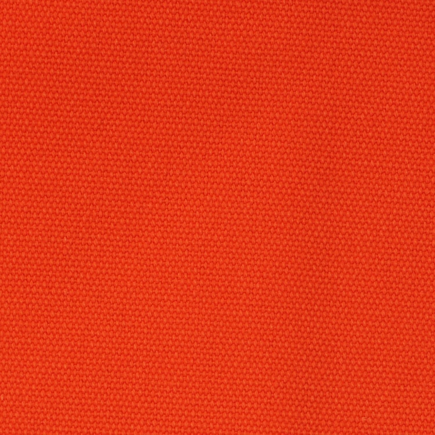 HomeStock African Adventure 24