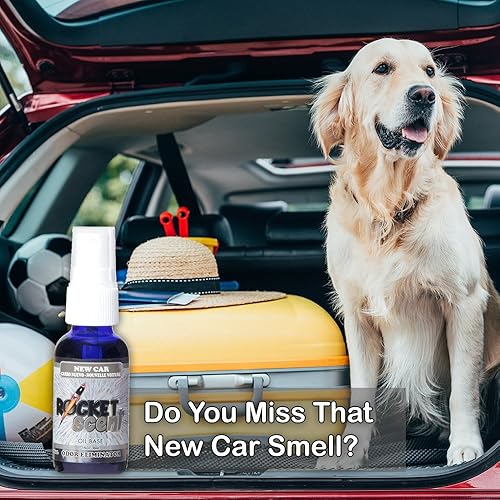 Miniatura 3 de Rocket Scent - Ambientadores de aceite + eliminador de olores y humo + desodorante para el hogar, automóvil, oficina, baño + auto nuevo, mango, lino