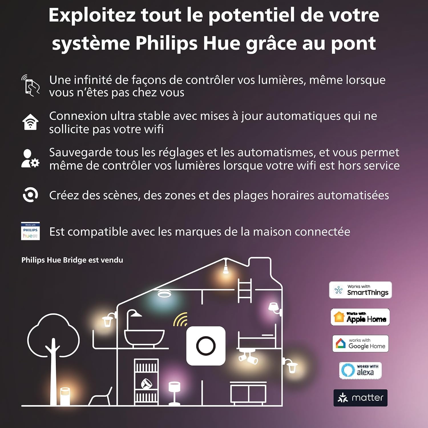Philips Hue Kit de Démarrage Ambiance Blanc et Couleur : 2 Ampoules connectées LED E27 60W, Contrôle Bluetooth et Pont, fonctionne avec Alexa/Google Home, Expérience Lumineuse Personnalisée