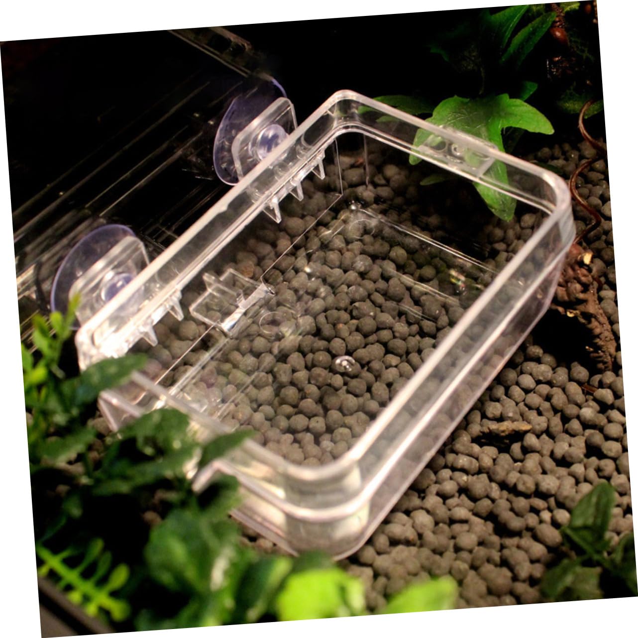 CORHAD 2Pcs Transparent Pet Feeder Reptile Water Dish Lizard Feeding Bowl Escape Design for Geckos Bearded Dragons and More Durable Easy to Feeding