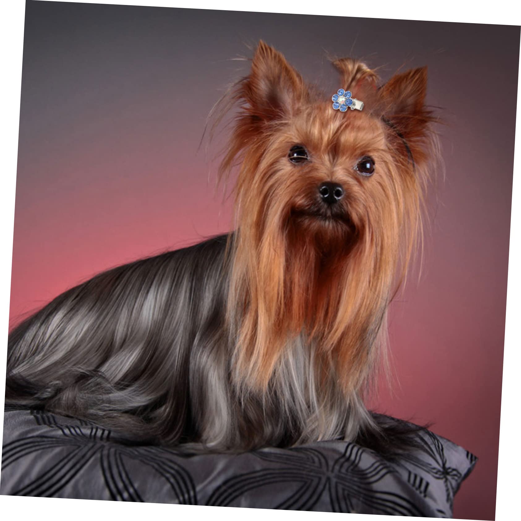 BESPORTBLE 6pezzi Fermagli Decorativi per Cani Accessori Eleganti con Testa di Cane Cristallo per Mantenere Ordine Pelo del Tuo Animale Domestico Disponibili