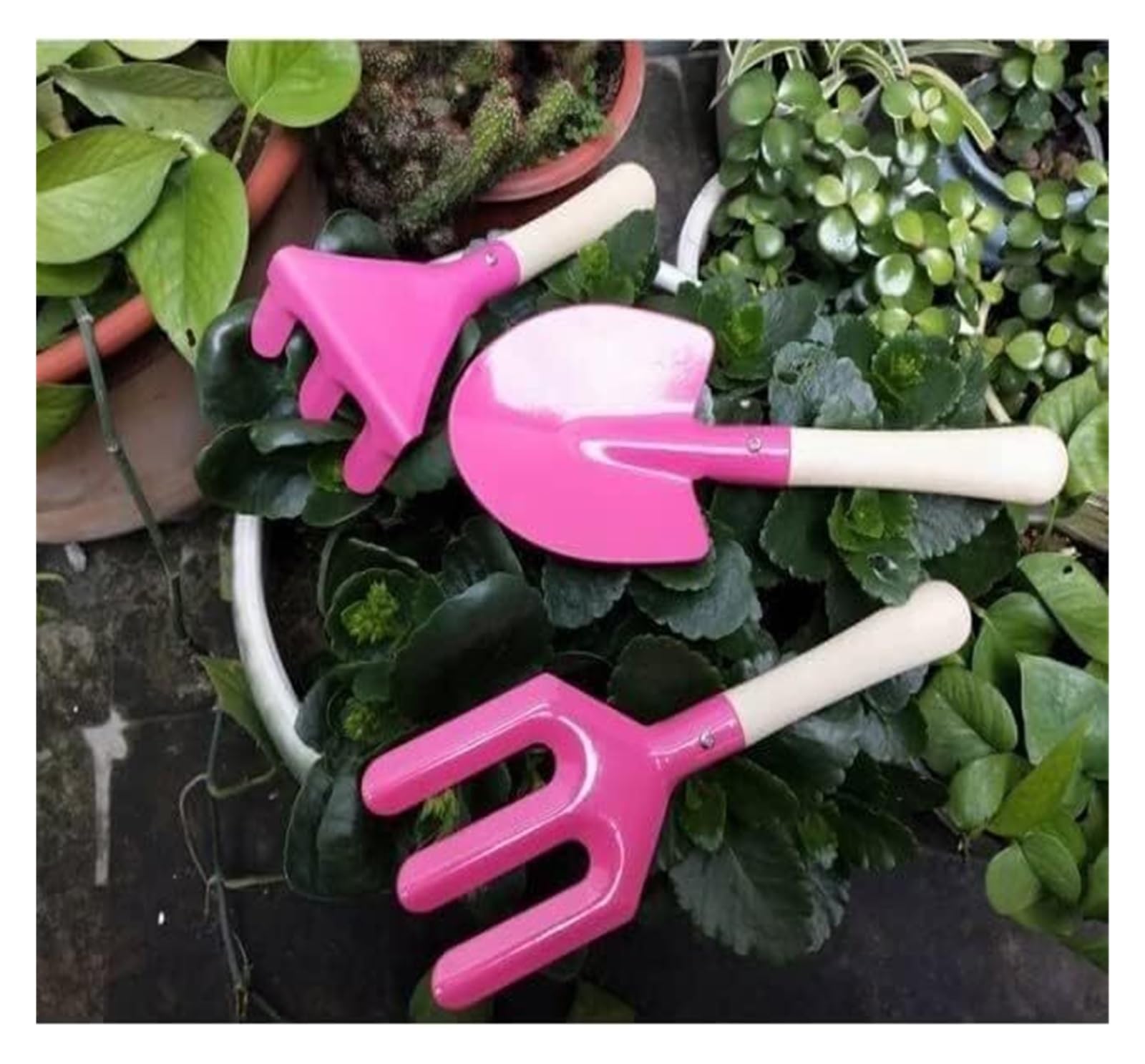 Attrezzi da giardino, pala, 3 pezzi, kit succulente per la cura delle piante, ideale come regalo per genitori e bambini