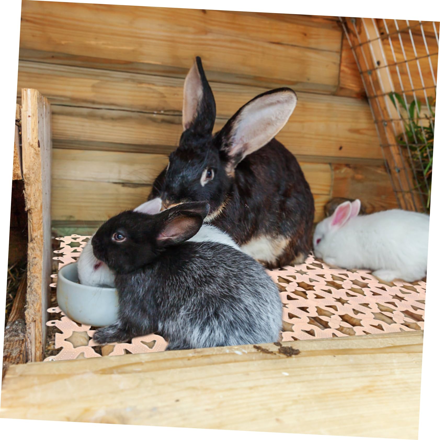 Kisangel Kaninchenkäfig Bodenmatte aus PVC Tiertablett mit Kottrennung 10 Stück für Kaninchen und Hundekäfige Leicht zu Verlegen
