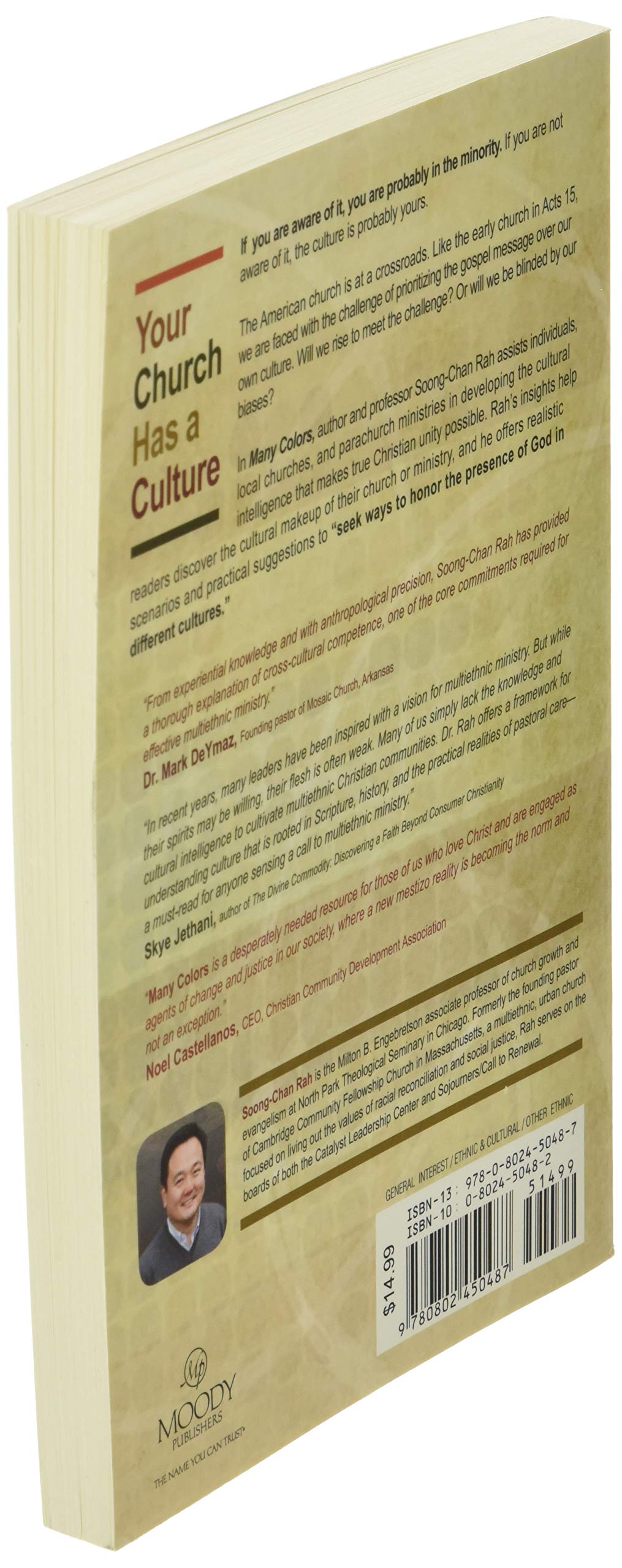 Many Colors: Cultural Intelligence for a Changing Church - Image 4