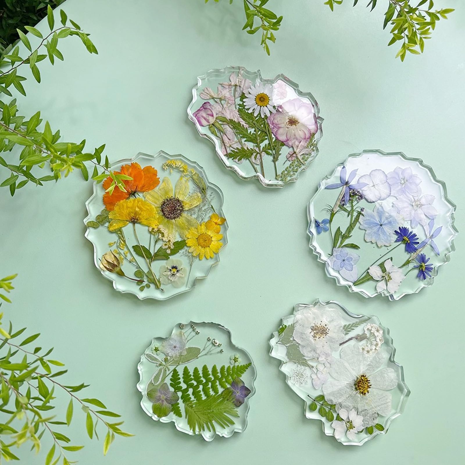 Cayway Naturalne suszone kwiaty prasowane do scrapbookingu, biżuterii z żywicy epoksydowej