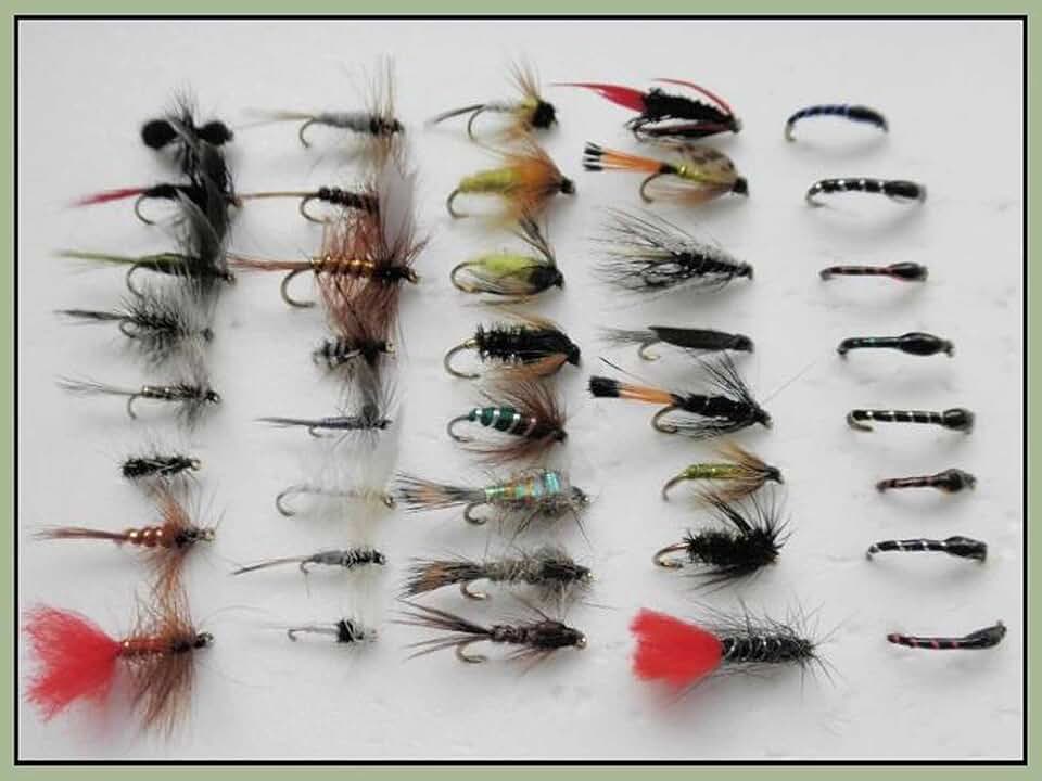 Amazon.co.uk Wet Fishing Dry Flies Wet Fishing Dry Flies / Flies