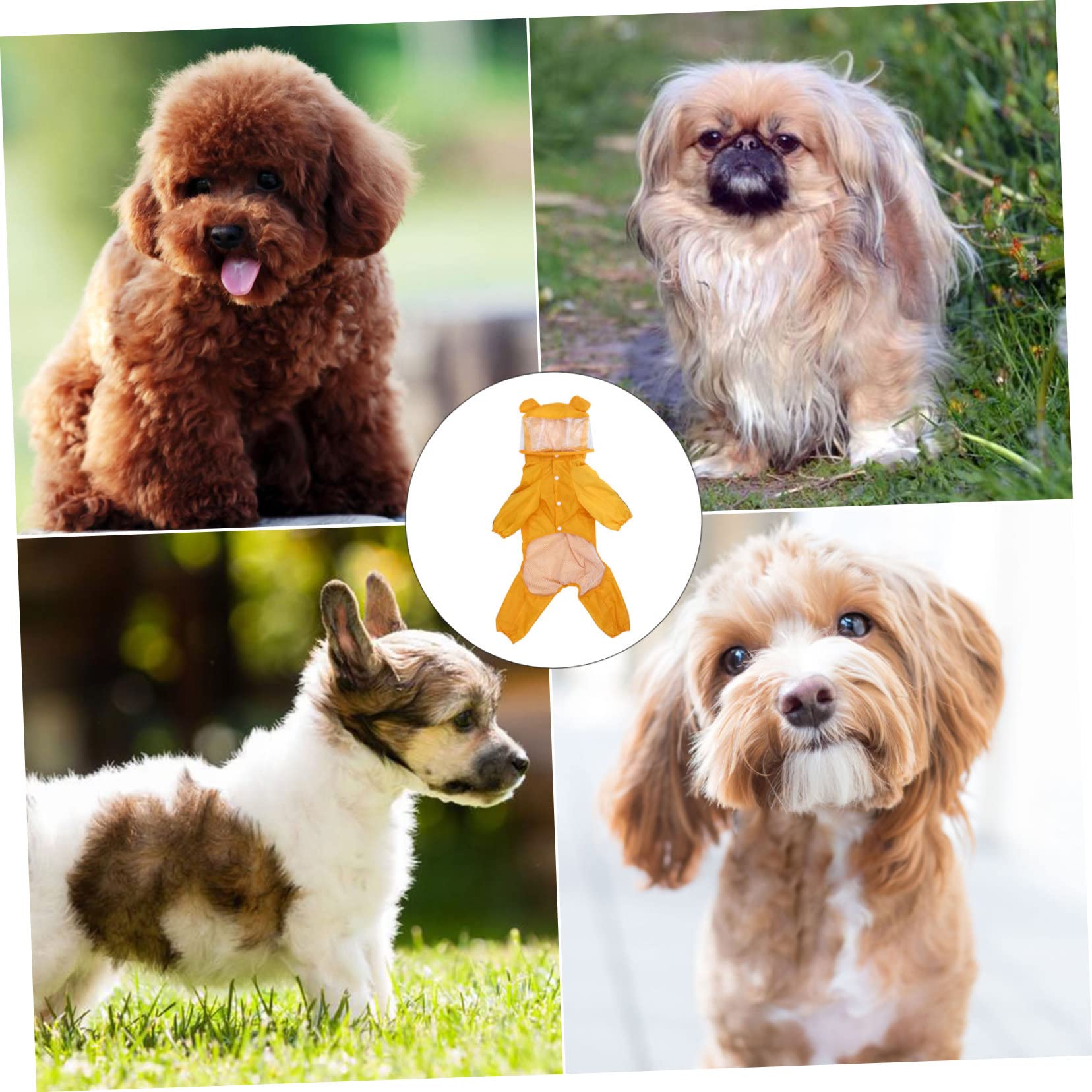 Housoutil 3pièces Manteau De Pluie Abeille pour Chien Veste Imperméable Et Mignonne pour Petits Et Moyens Chiens Élégante Et La Pluie
