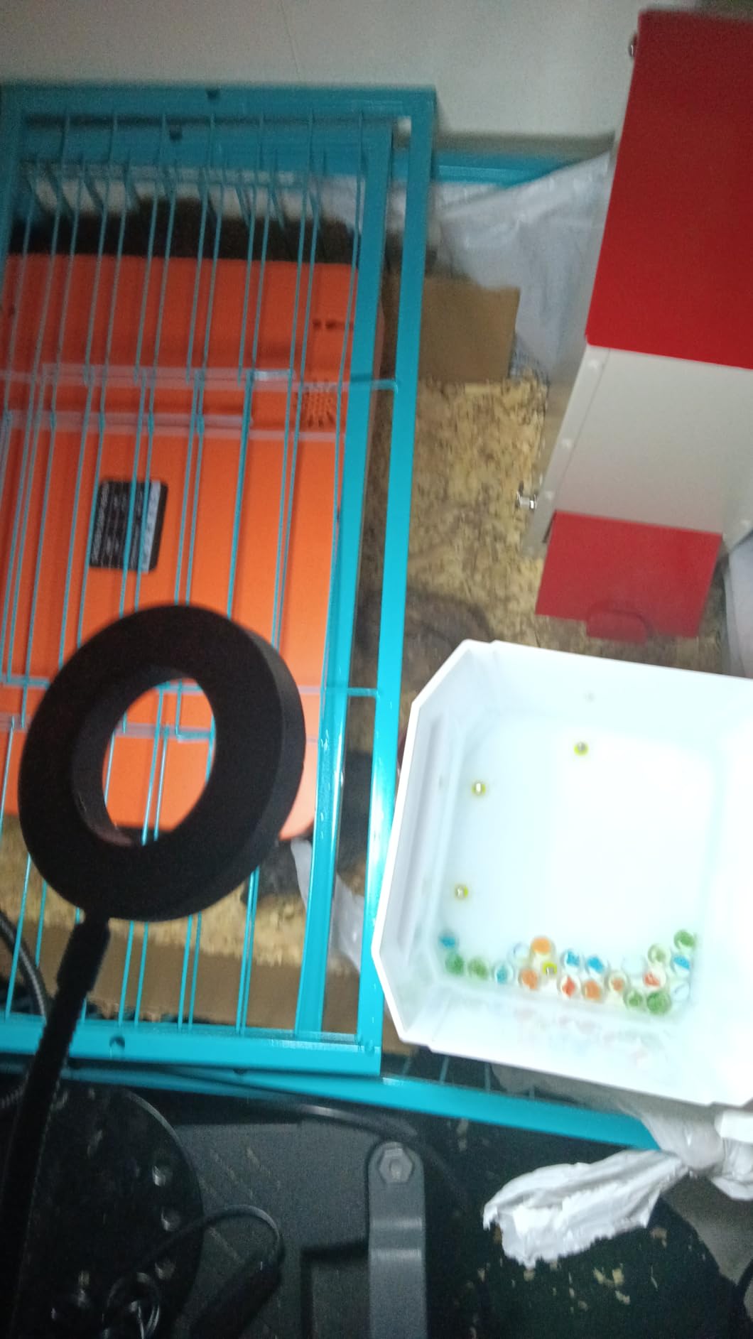 Large Pigeon Cage – Escape-Resistant, Automatic Entry Design | Durable Anti-Rust Bird Cage for Outdoor Use photo review