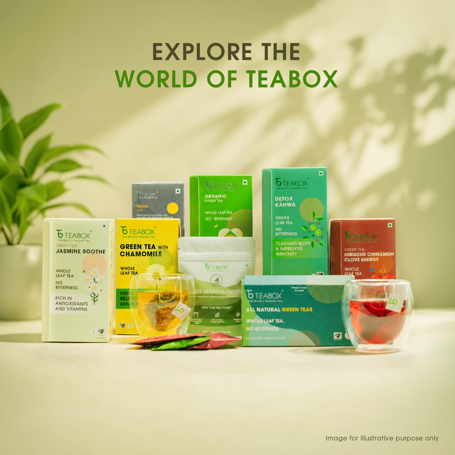 Teabox Green Tea Loose Leaves | Made with Whole Leaf, Sourced from Highlands | 0% Bitterness Assured | 100G 4