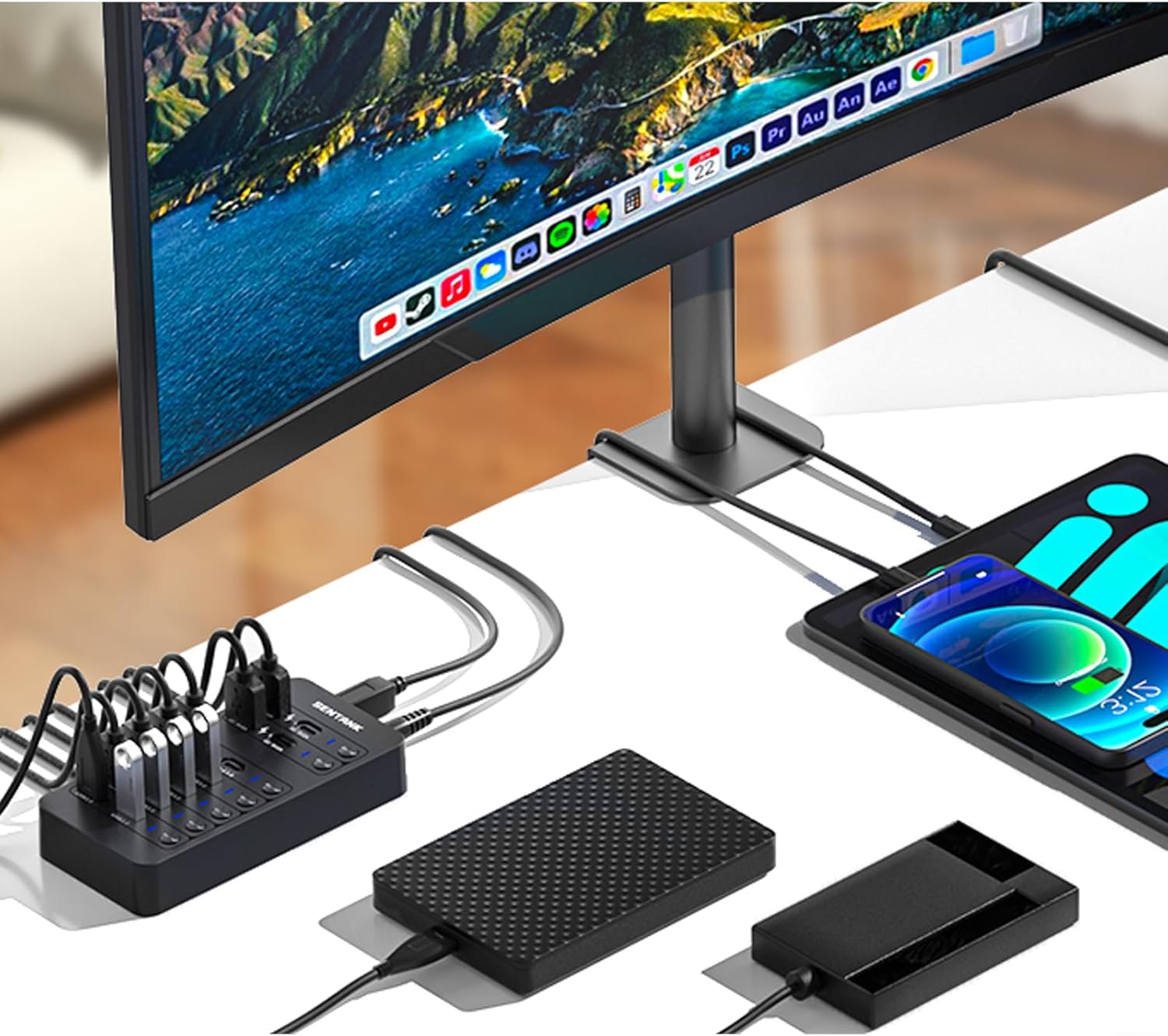 Powered USB Hub, SENTANK 14 Port USB 3.0 Hub Splitter (6 USB 3.0 Data Ports + 4 Fast Charging Ports) with Independent LED On/Off Switch, with 60W Power Adapter for Mac, PC