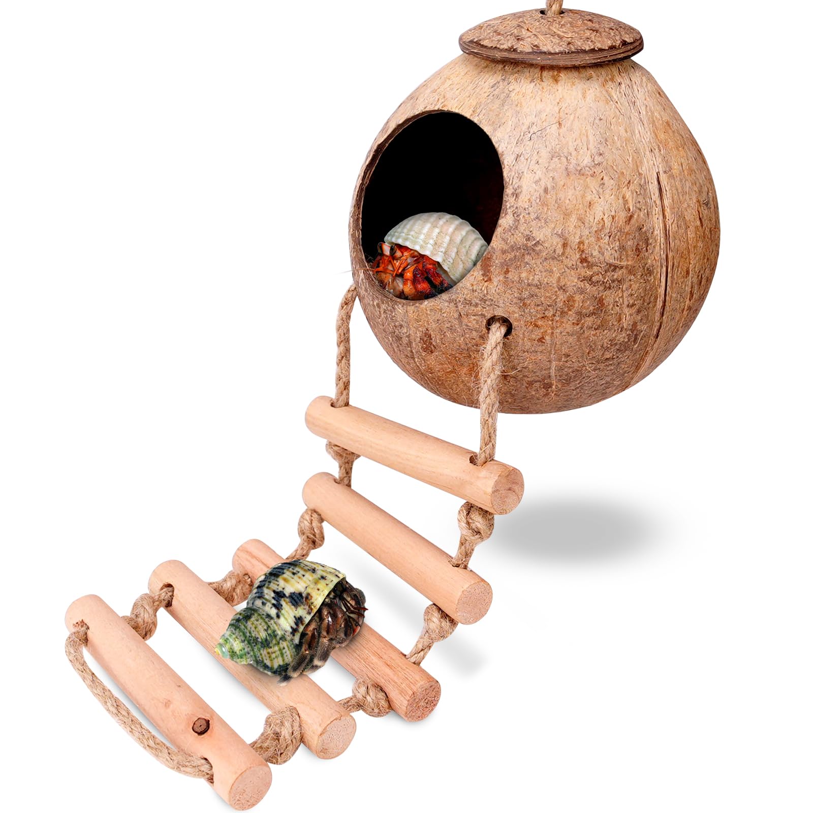 U0U Hermit Crab Coconut Husk Hut with Branch Ladder,Coconut House Hermit Crab Shells Reptile Habitat,Coconut Nest Hangable Suitable for Animal Hiding