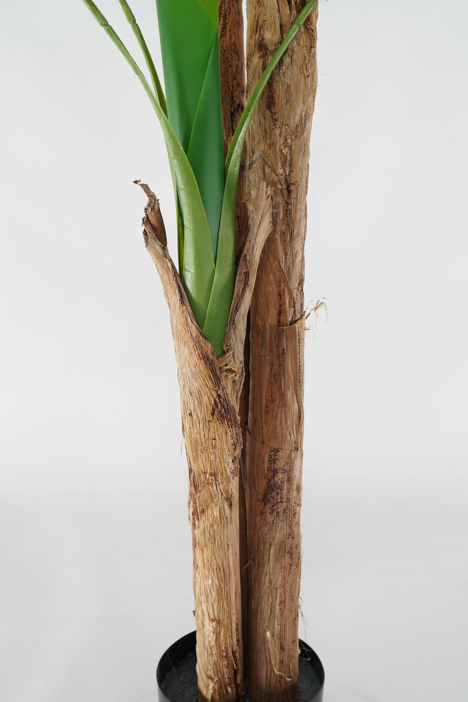 Pianta Artificiale di Banano con Corteccia Naturale, Foglie in PVC, Varie Misure, per Interni Residenziali e Commerciali (Chiquita 180 cm - 3 tronchi)