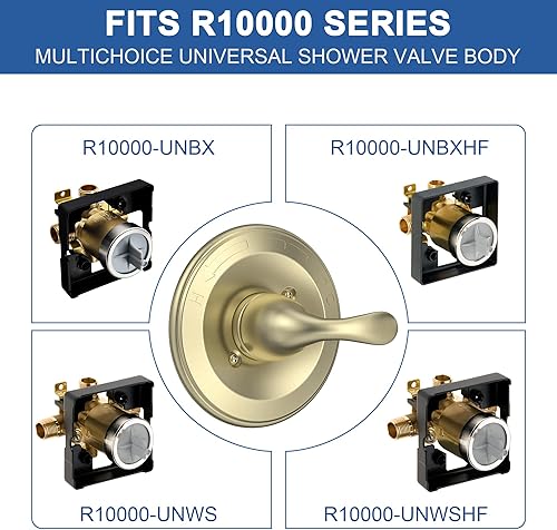 Vista 24 de Kit de moldura de válvula de ducha de una sola función, mango de ducha, kit de moldura de ducha de níquel cepillado T13020-SS