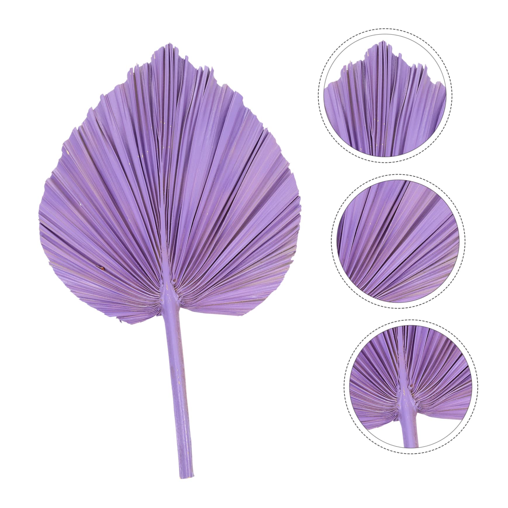 ABOOFAN 5 Stücke Künstliche Getrocknete Palm Blatt Decor Party Liefert Kunst Blatt