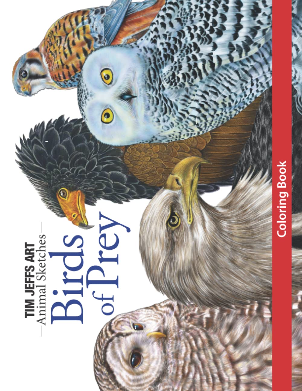 Birds of Prey Coloring Book (Animal Sketches)