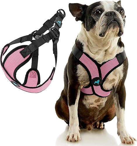 Miniatura 10 de Gooby Comfort X Step in Lite - Arnés para perro, sin estrangulamiento y sin escapes, con malla transpirable ligera para perros pequeños y medianos